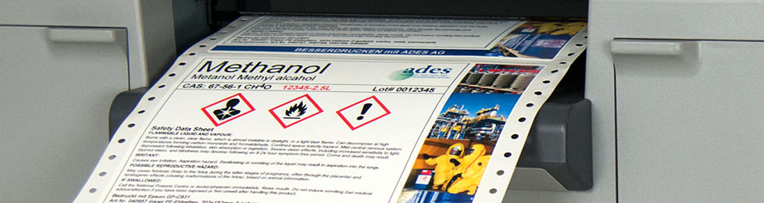 Papier-Etiketten für COLORPRINT 831 und Epson Colorworks C831