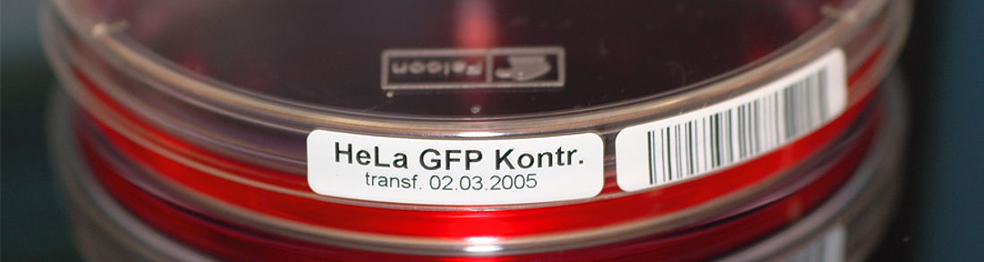 robuste Laboretiketten drucken