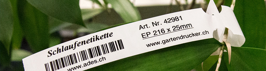 Schlaufen Etiketten Kunststoff Thermotransfer auf Rolle