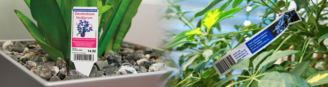 Etikettierlösungen für Gärtnereien zur Beschriftung von Blumen & Pflanzen