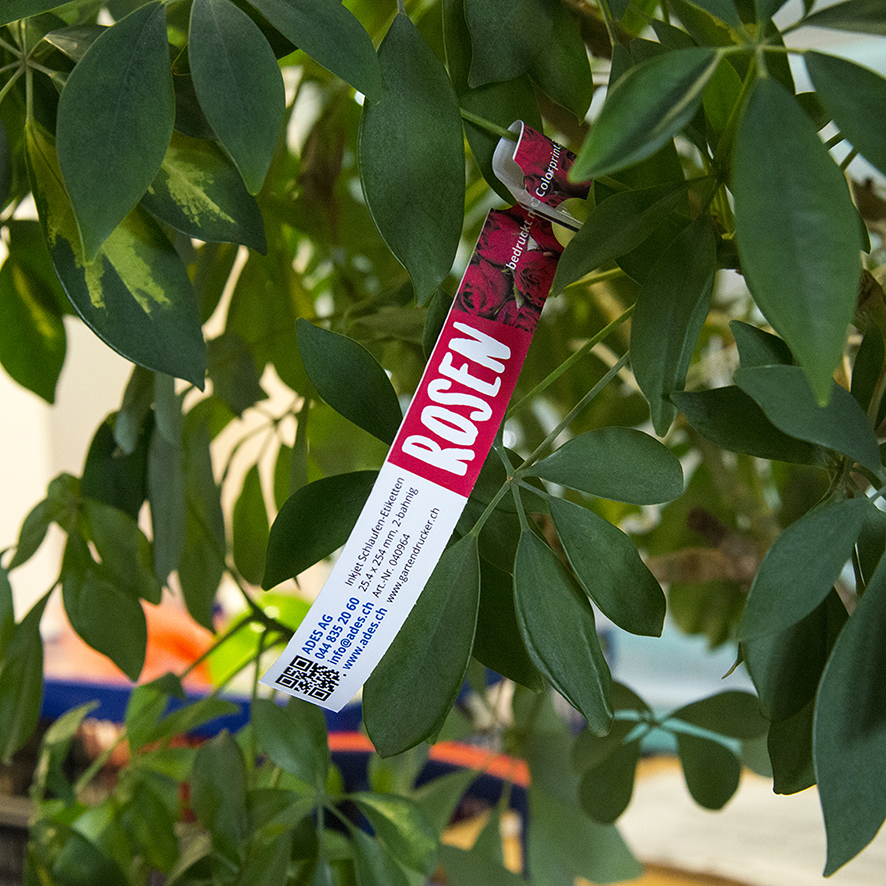 Inkjet Schlaufen-Etiketten für Farbdruck